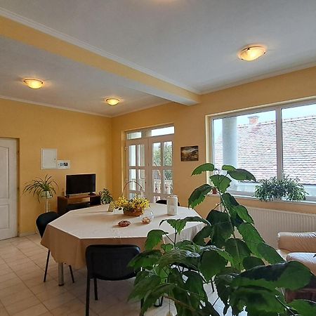 Erika Panzio Bed and Breakfast Ditrău Buitenkant foto