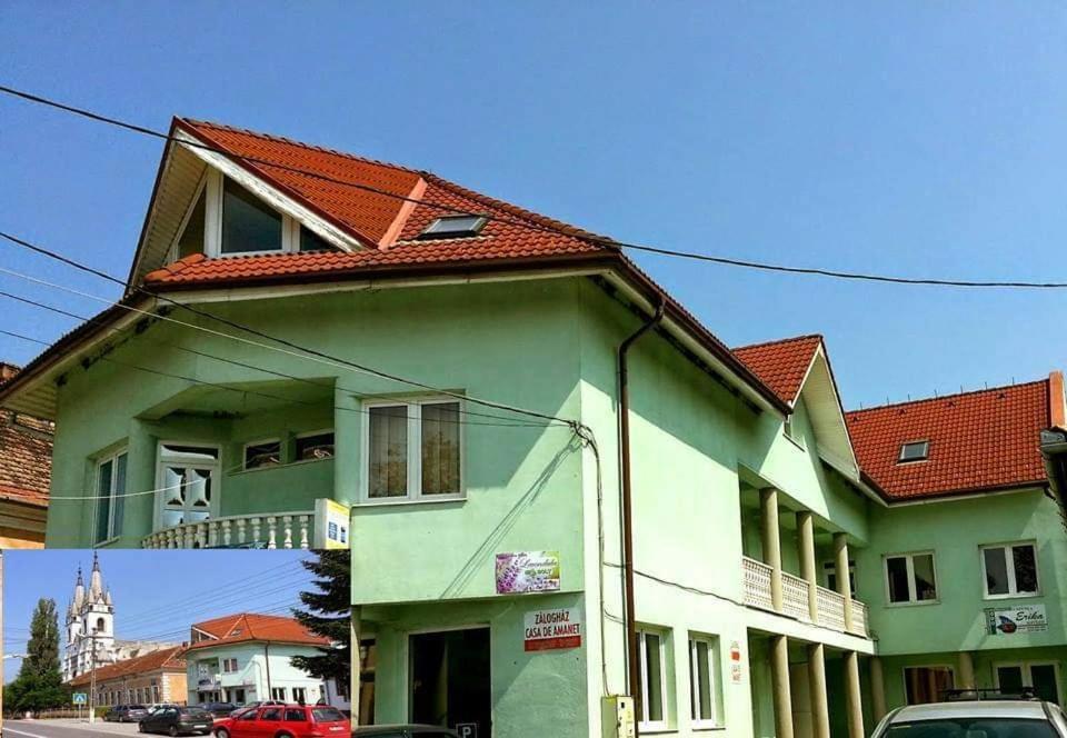 Erika Panzio Bed and Breakfast Ditrău Buitenkant foto
