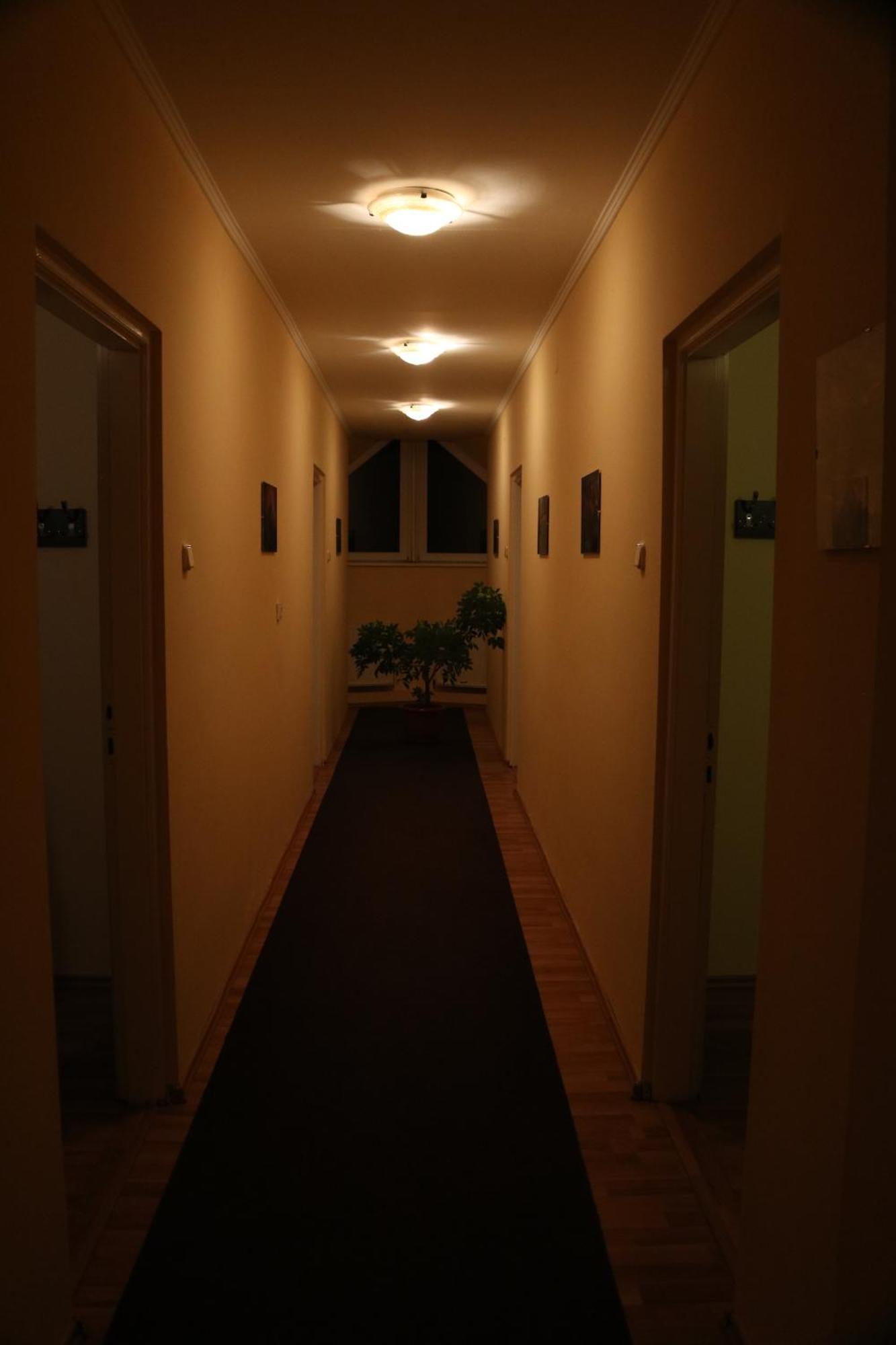 Erika Panzio Bed and Breakfast Ditrău Buitenkant foto