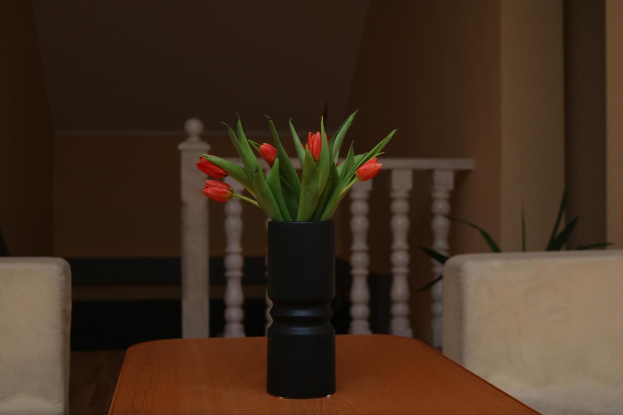 Erika Panzio Bed and Breakfast Ditrău Buitenkant foto