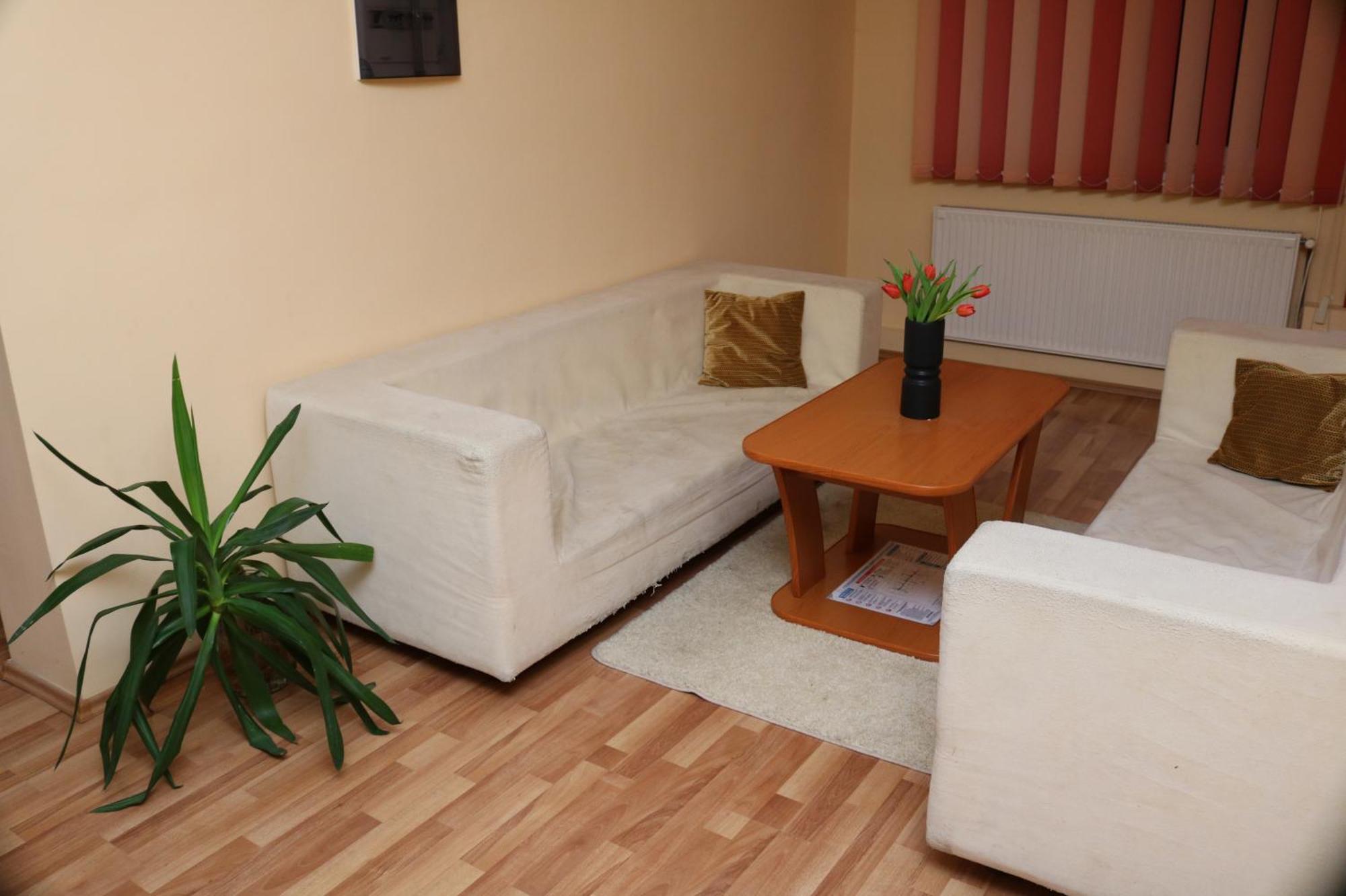 Erika Panzio Bed and Breakfast Ditrău Buitenkant foto